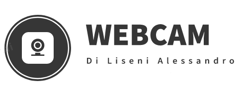 WEBCAM di Liseni Alessandro Toner Cartucce Assistenza Cellulari DHL ServicePoint  Catania